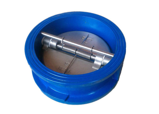 Λαστιχένια βαλβίδα αντεπιστροφής ταλάντευσης πεταλούδων καθισμάτων βαλβίδων αντεπιστροφής ανοξείδωτου χυτοσιδήρου