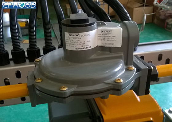 Δύο επιπέδων συμπαγές σχέδιο ρυθμιστών αερίου του Φίσερ εξοπλισμού θέρμανσης αερίου