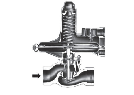 Όλκιή σιδήρου του Φίσερ 133L πίεση αερίου σειράς άμεση χρησιμοποιημένη που μειώνει το ρυθμιστή
